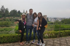 Alhambra privat guide, (hvis du har din alhambra-indgang)