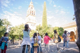 Visit in Spanish to the Cathedral Mosque. Does not include entrance ticket