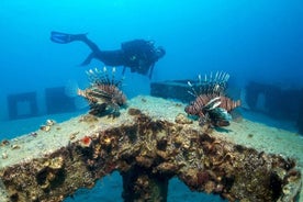 Excursão de mergulho em Alanya