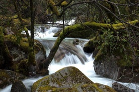 Gerês ferð frá Porto