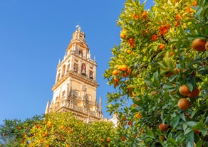 Photo of view from the top of the Space Metropol Parasol (Setas de Sevilla) one have the best view of the city of Seville, Spain.