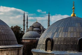 Visita cultural guiada privada de día completo de Estambul