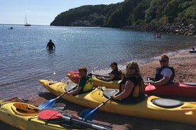 Sea Kayak Taster Tour 90 Minutes for 4 People