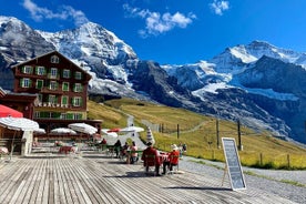 Jungfrau's Region Private Tour from Basel