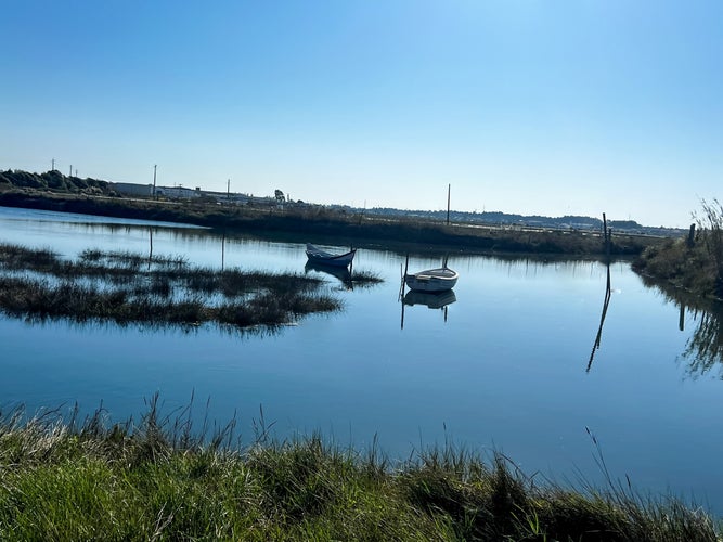 photo of view of This photo was taken on a river in ilhavo with old, abandoned boats that I had the opportunity to photograph.