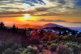 Guida a Zia Hill per un tramonto unico con il servizio di prelievo dall'hotel