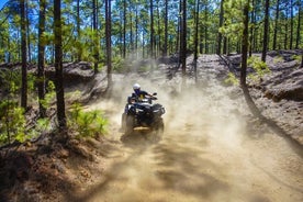 Off-Road Quad Tour fra Woodlands til Volcanic Heights