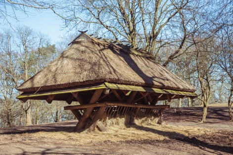 Photo of feeder with hay for deer in Marselisborg Deer Park, Aarhus, Denmark.