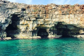 Small Group Boat Excursion to Polignano a Mare