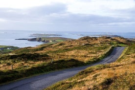 Hållbar Connemara och Galway Bay Rail Tour från Dublin