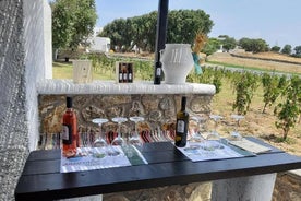 Wine Tasting Tour på en tradisjonell gård i Mykonos