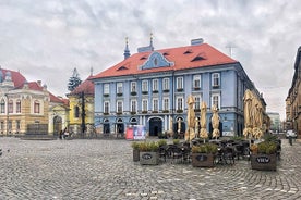 Visite de la ville de Timisoara - Une journée inoubliable