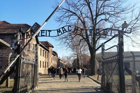 Warsaw: Auschwitz-Birkenau and Krakow Tour by Car