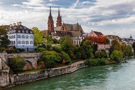 Einkaflutningur frá dyrum til dyra og bílstjóri frá Strassborg til Basel