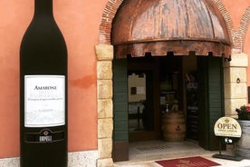 Amarone-Soave wine tour. Visit Verona. From Venice