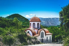 Visite privée dans la forêt de châtaigniers de Steni Evia