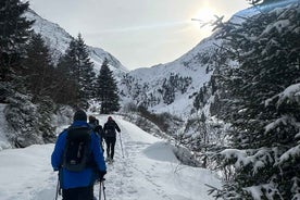 Innsbruck-Stubaital: Snowshoeing in Tyrolean forests