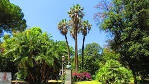 photo of Villa Comunale di Salerno .
