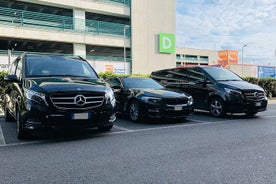 Privétransfer van Billund Airport (BLL) naar de cruisehaven van Aarhus