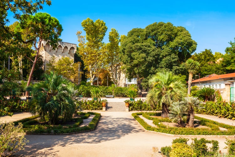 Photo of jardin des plantes de Montpellier is a public botanical garden in Montpellier city, France.