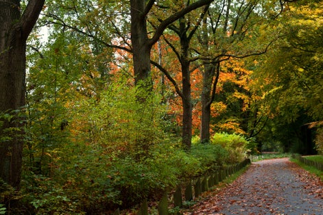 autumn colors in Stadspark, Groningen, Netherlands