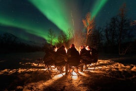 Aurores boréales en minibus. Photos sous les lumières incluses. Tromso