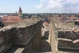 Sightseeing And Wine Tour In Eger