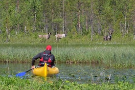 Autentisk renfarm och kanotupplevelse från Rovaniemi.