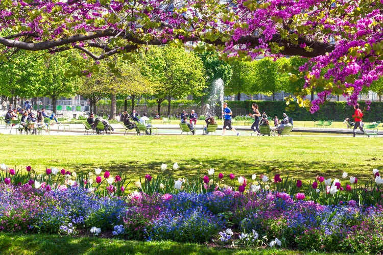 Tuileries Garden 2.jpg