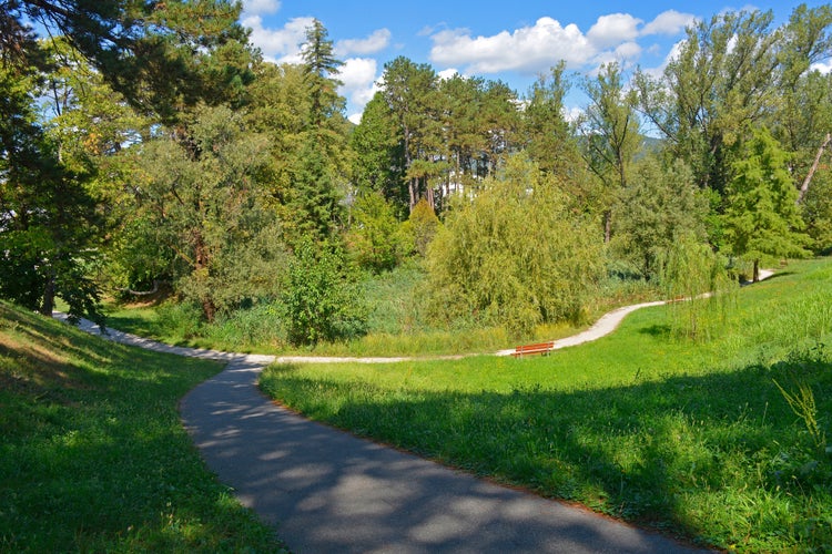 Trees in Borov Gozdicek Borovci Park in the centre of Nova Gorica, Primorska, western Slovenia. Late summer, September