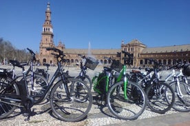 Electric Bike Rental 3 hours