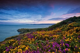 From Dublin: Half-Day Guided Coastal Tour to Howth Village