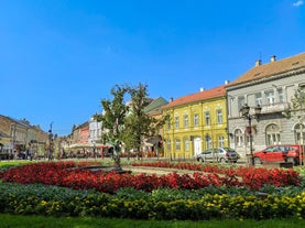 Novi Sad