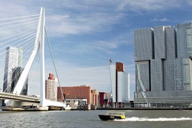 Visite privée de Rotterdam : points forts, bateau-taxi et vue sur le toit