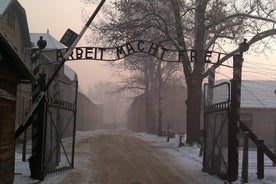 Auschwitz-Birkenau Museum Tour från Krakow