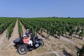 2 in 1 - Visit of Bordeaux and excursion in a vineyard