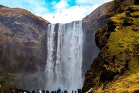 Sørkystens høydepunkter og brevandring Tur for små grupper fra Reykjavik