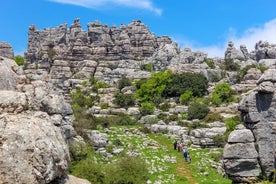 Torcal de Antequera-wandeltocht vanuit Málaga