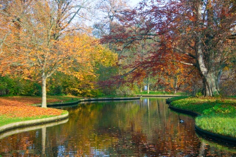 golden autumn time in Frederiksberg park, Copenhagen, Denmark