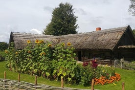 Excursión de un día fuera de Vilnius: parque del holocausto Paneriai, castillo de Trakai, museo Rumsiskes