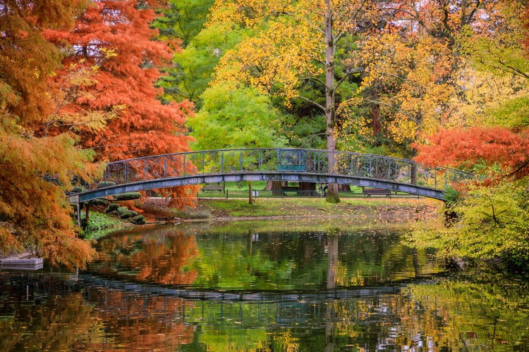 Photo of colored trees and footbridge of the Jardin Public park in Autumn in Bordeaux, France.