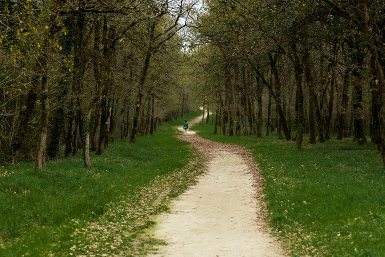 photo of view of girl walking on a curvy dirt road in the forest of Lucon, France.