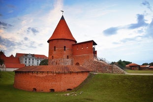 Aerial view of Vilnius old city.