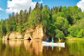 Viagem de caiaque de um dia no vale do rio Gauja