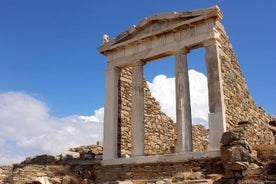 Halve dag Delos Tour vanuit Mykonos