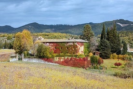 Visites photographiques en Toscane