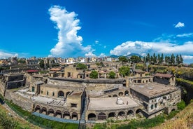  Visite guidée Herculanum tout compris de Sorrente