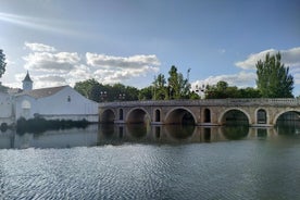 Visite privée à Tomar avec tapas locales