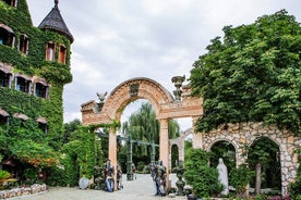 Visite guidée d'observation des oiseaux d'une demi-journée en groupe avec le château de Ravadinovo