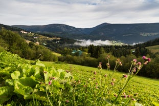 okres Trutnov - city in Czech Republic